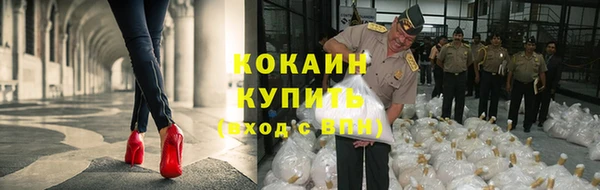 мяу мяу мука Абинск