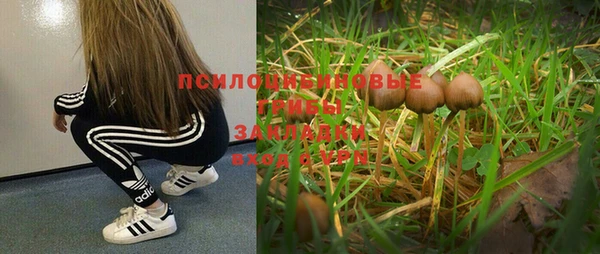 гашик Абаза