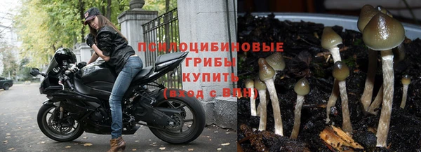 амф Алексеевка