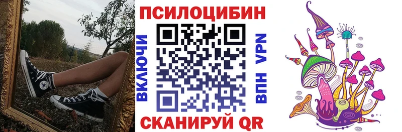 Псилоцибиновые грибы GOLDEN TEACHER  как найти   Берёзовка 